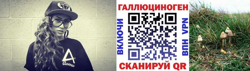 сколько стоит  Петровск  Галлюциногенные грибы Psilocybine cubensis 