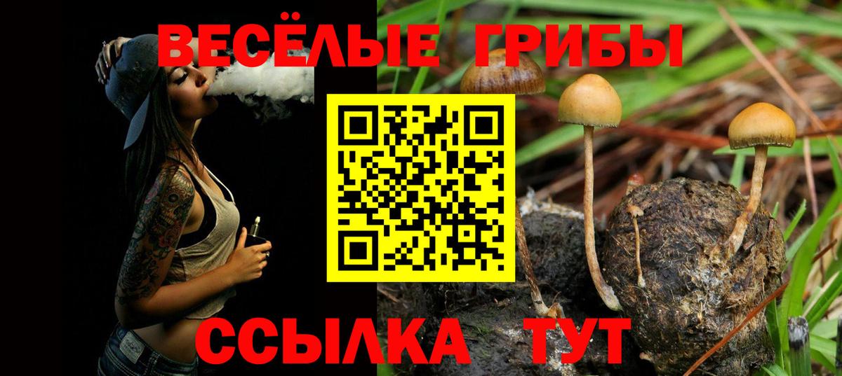 Псилоцибиновые грибы прущие грибы Петровск