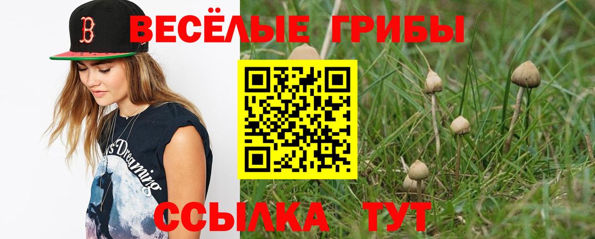 Псилоцибиновые грибы ЛСД  Петровск  Псилоцибиновые грибы мухоморы 