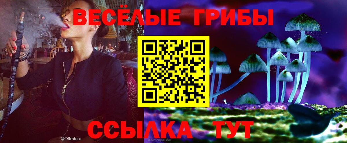 Галлюциногенные грибы Psilocybine cubensis  Вход с VPN  Петровск 