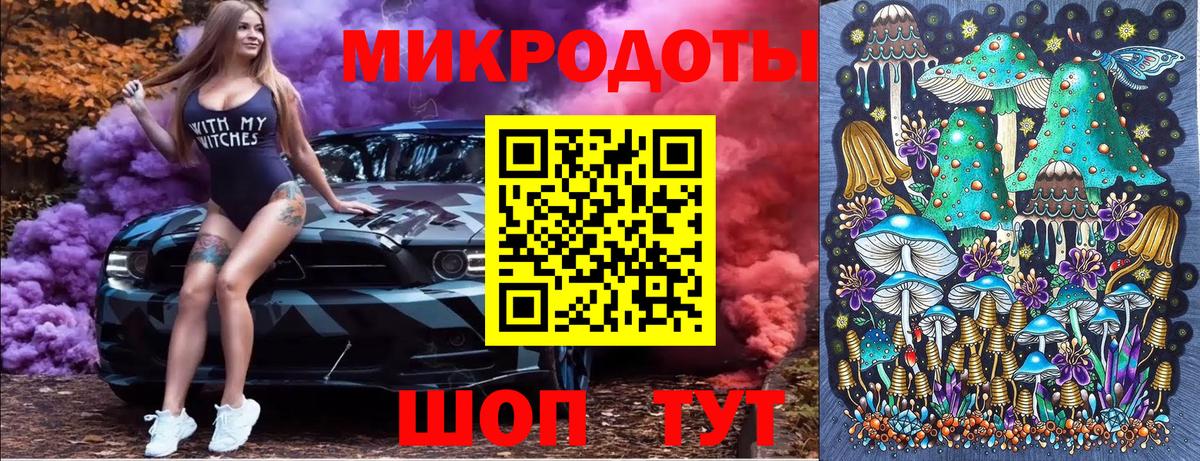 Галлюциногенные грибы Psilocybine cubensis Петровск