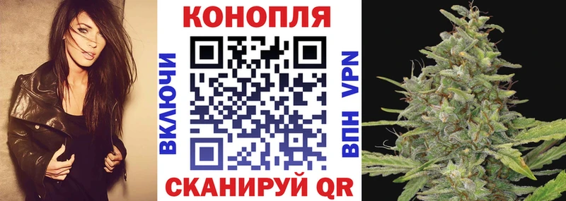 Шишки марихуана конопля  сколько стоит  Петровск 